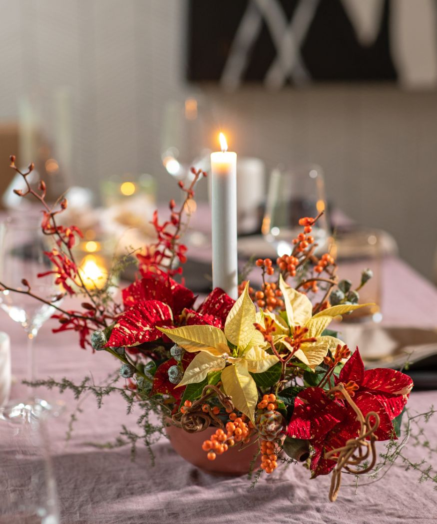 2023_poinsettia_04000_Contemporary_Autumn_Living_02NF