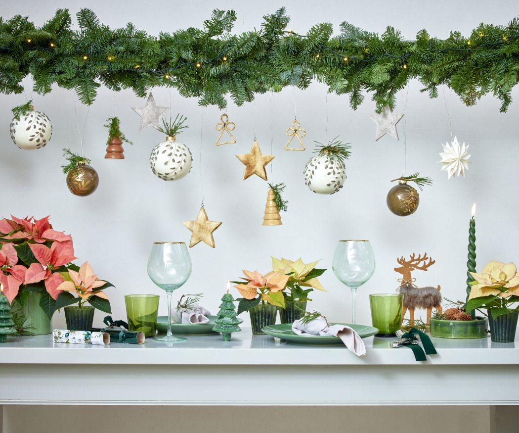 2024_Poinsettia_04000_Cosy_Cottage_Charm_11