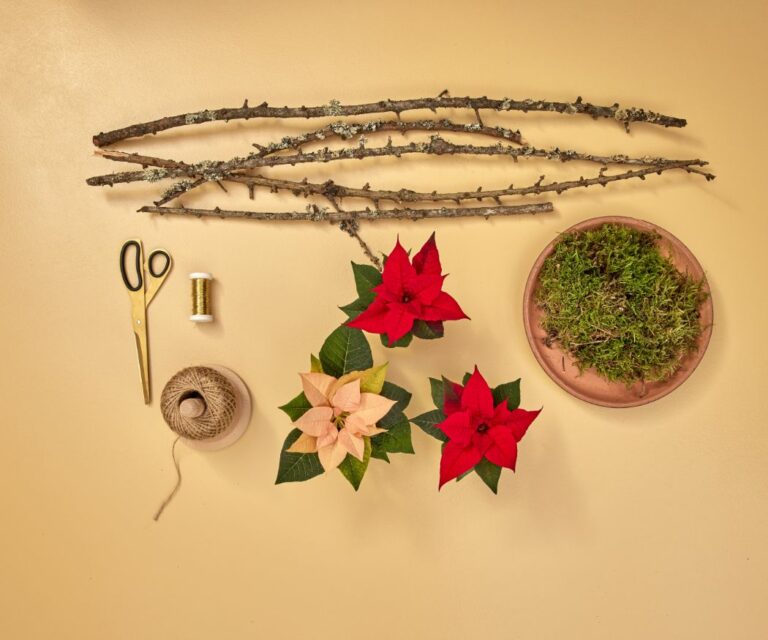 2024_Poinsettia_04120_DIY_Rustic_Twig_Star_01-768x640