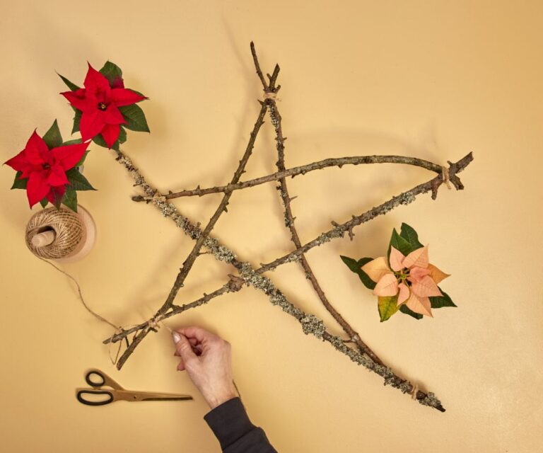 2024_Poinsettia_04120_DIY_Rustic_Twig_Star_02-768x640