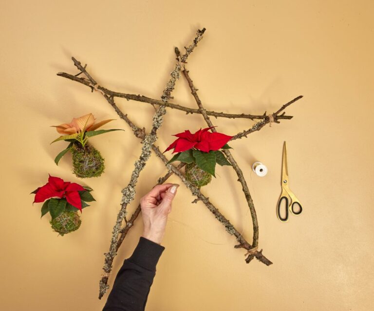 2024_Poinsettia_04120_DIY_Rustic_Twig_Star_04-768x640