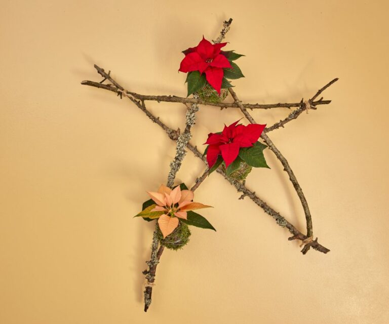 2024_Poinsettia_04120_DIY_Rustic_Twig_Star_05-768x640