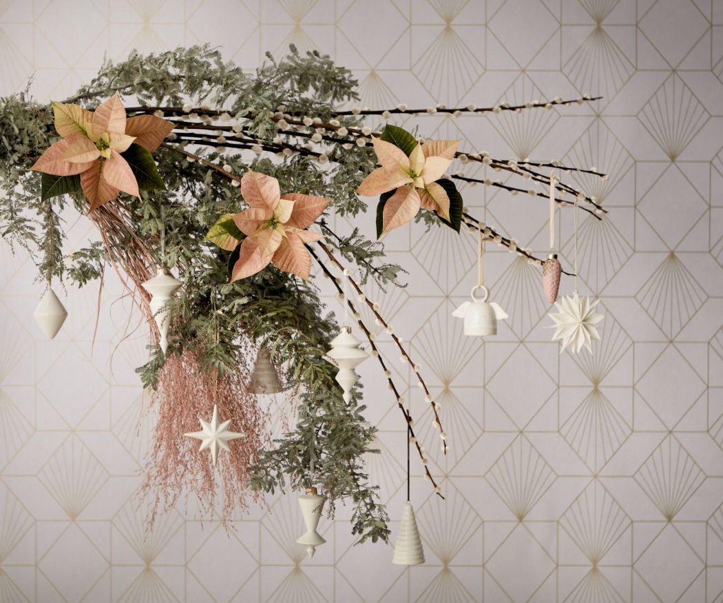 2024_Poinsettia_01000_Golden_Elegance_15