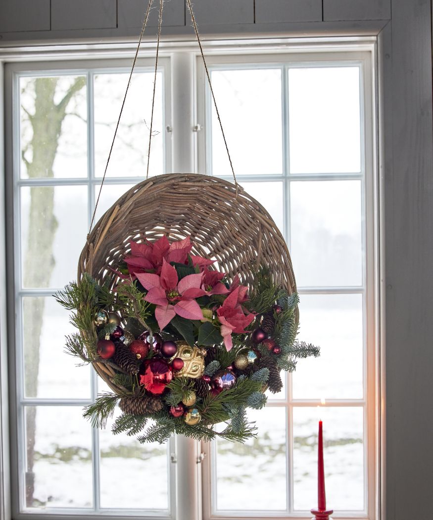 2024_Poinsettia_04000_Cosy_Cottage_Charm_07