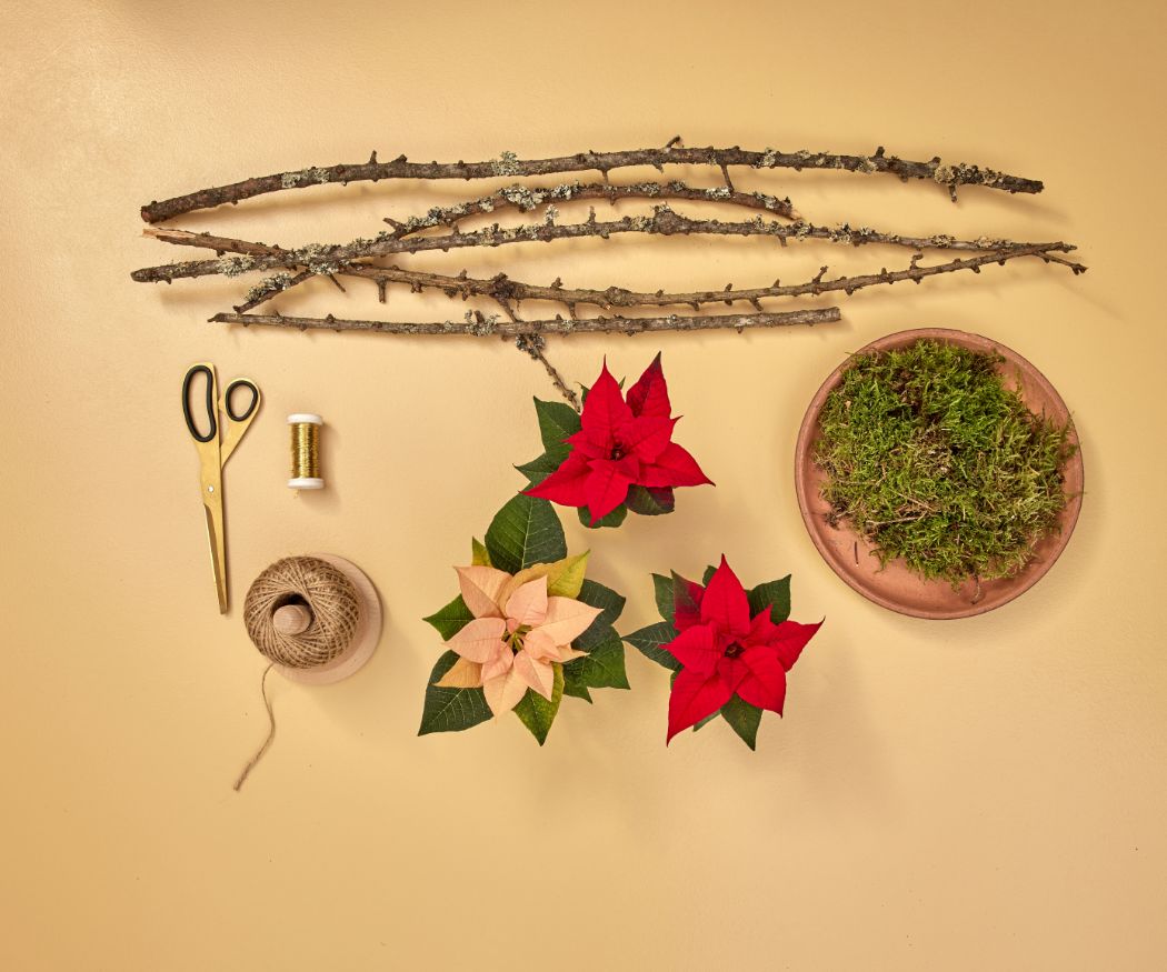 2024_Poinsettia_04120_DIY_Rustic_Twig_Star_01