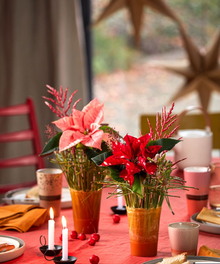 2024_Poinsettia_05110_DIY_Wax_Mini_Vases_04