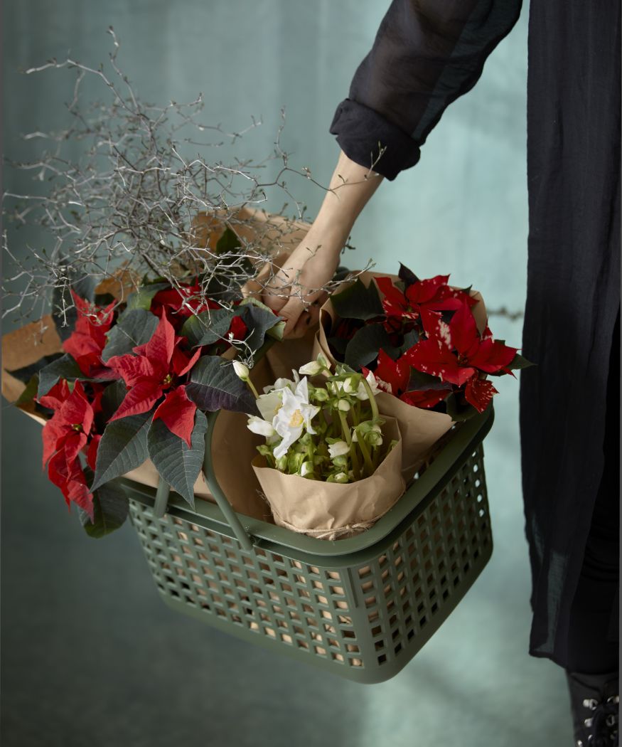 2021-poinsettia-05000-christmas-woodlan-19