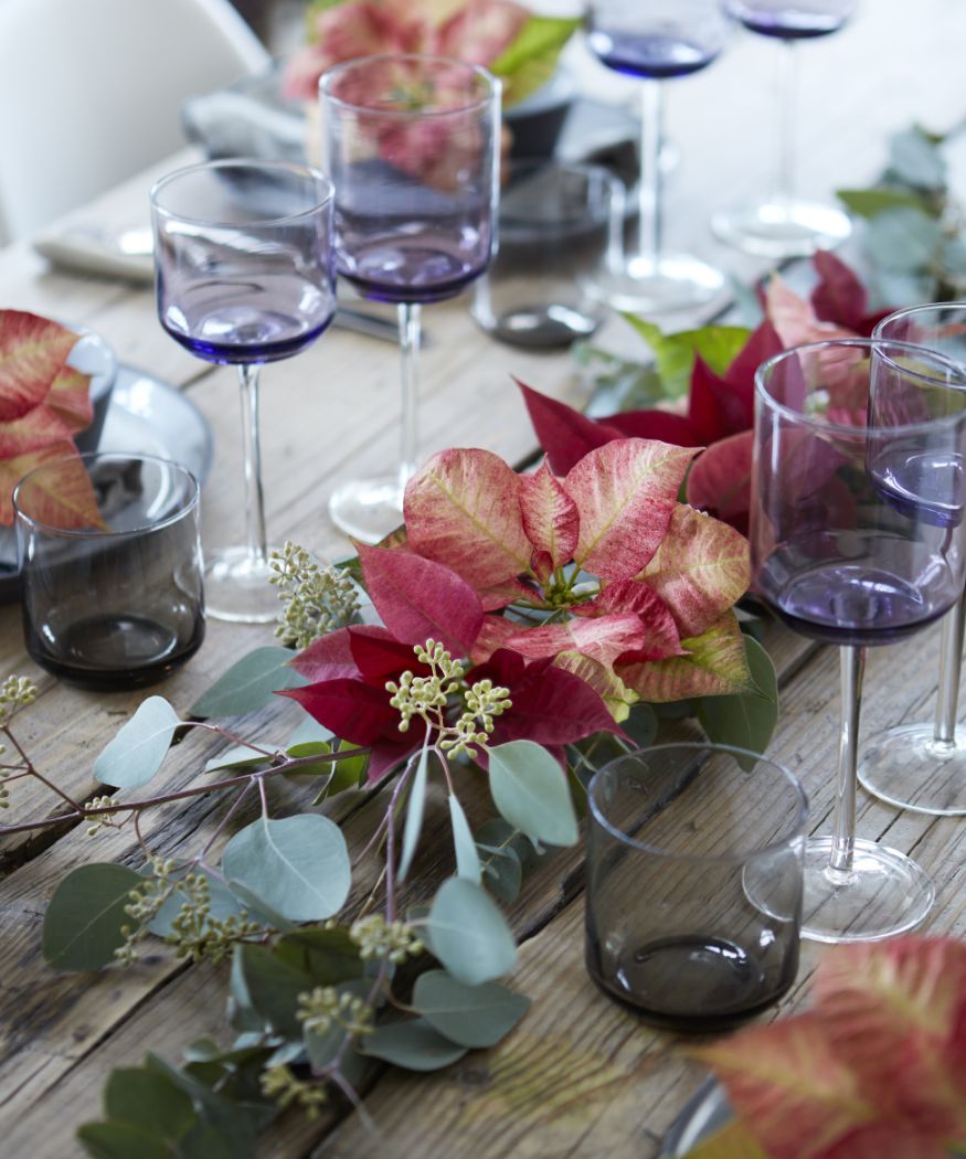 2018_poinsettia_0120_Green_Living_Christmas_Nostalgy__