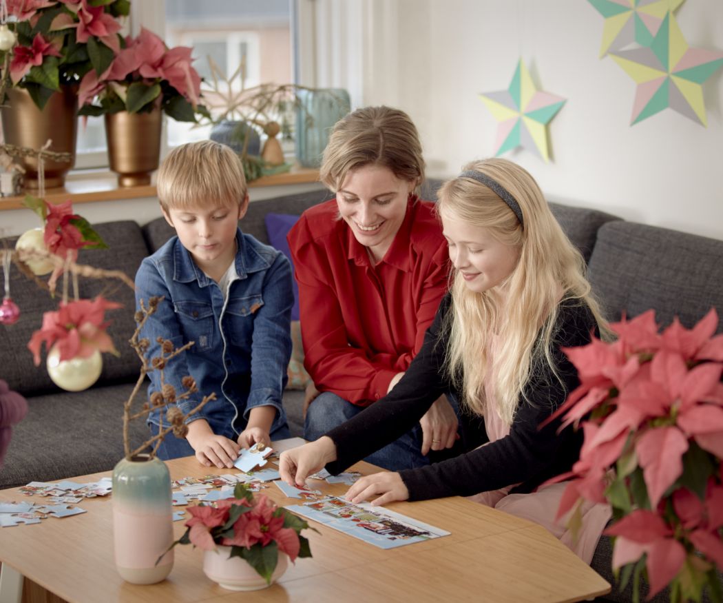 2019_poinsettia_03000_Colourful_Christmas_at_Home_33