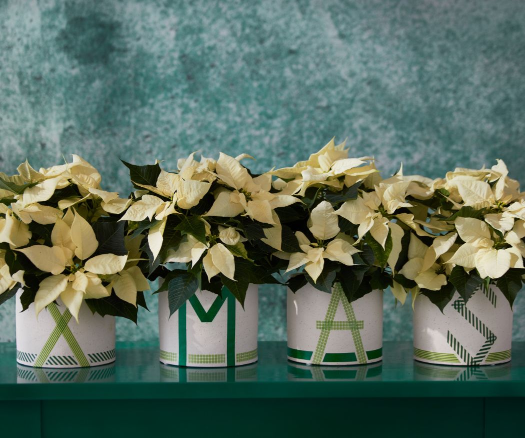 2020_poinsettia_01110_DIY_Christmas_washi_ta