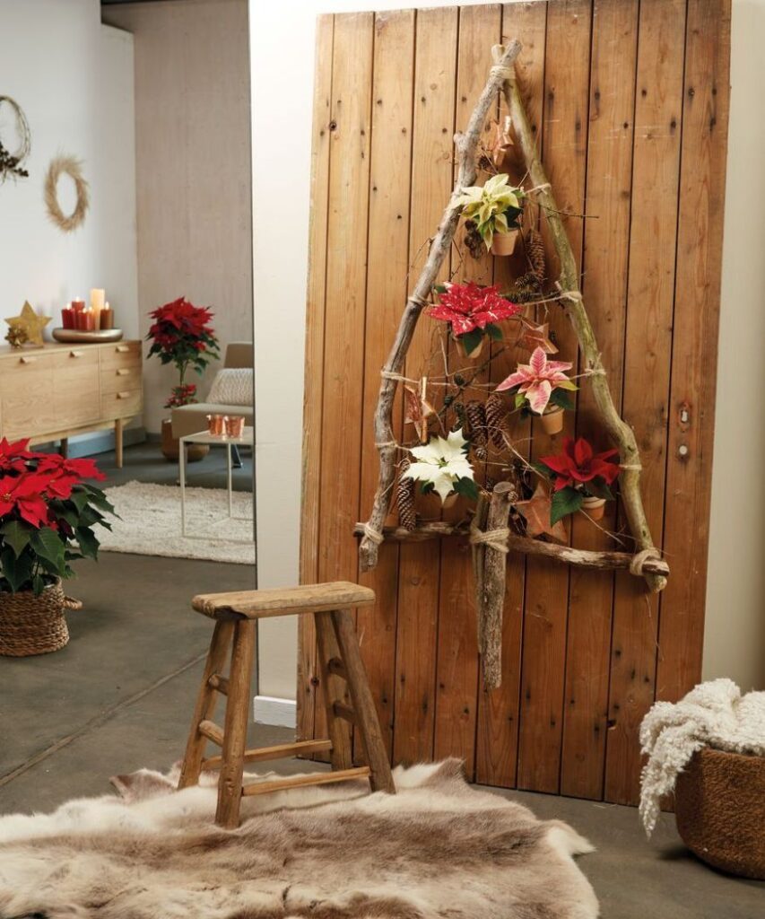 A rustic tree-shaped wall display made from rough branches attached to an old wooden door. Mini poinsettias hang from the branches, adding a festive touch to this natural piece. This decoration combines the raw beauty of nature with the elegance of Christmas.