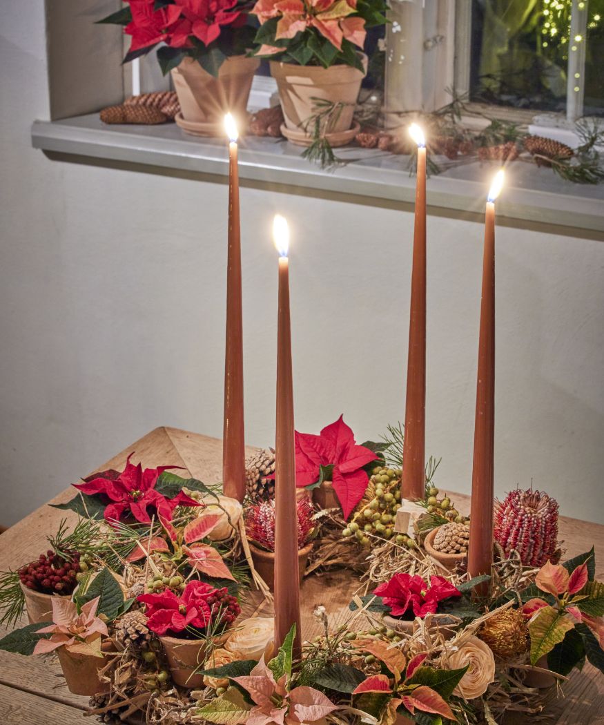 2024_Poinsettia_04000_Cosy_Cottage_Charm_04