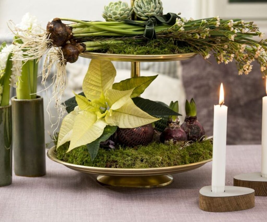 Egy desszerttálon elhelyezett dekoratív elrendezés krémsárga mini mikulásvirágból, mohából és nárciszokból, mellette két fehér gyertyával. 