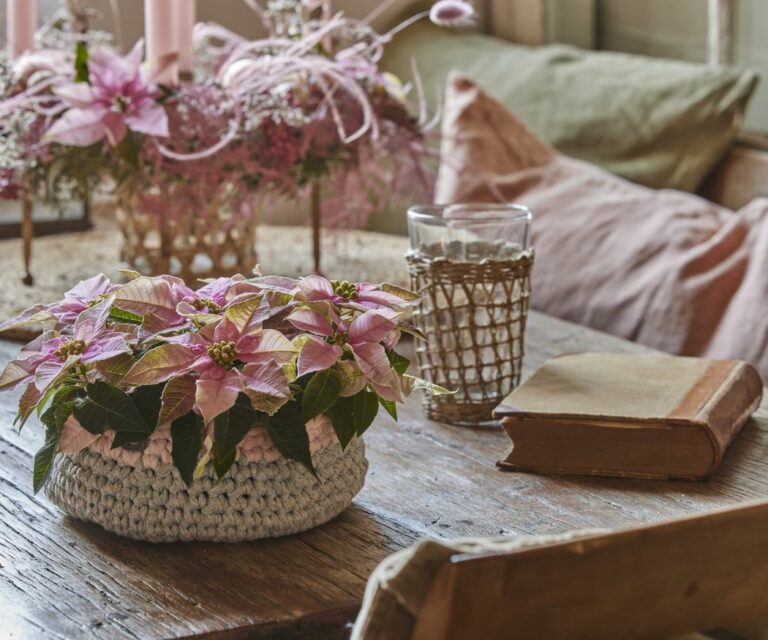 Egy horgolt kosár finom, rózsaszín mikulásvirággal, egy rusztikus fa asztalon. 