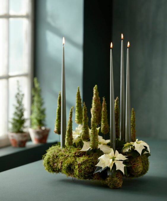 Mohán alapuló adventi koszorú, krémszínű mini mikulásvirággal, kicsi moha karácsonyfák és tompa zöld álló gyertyákkal. 
