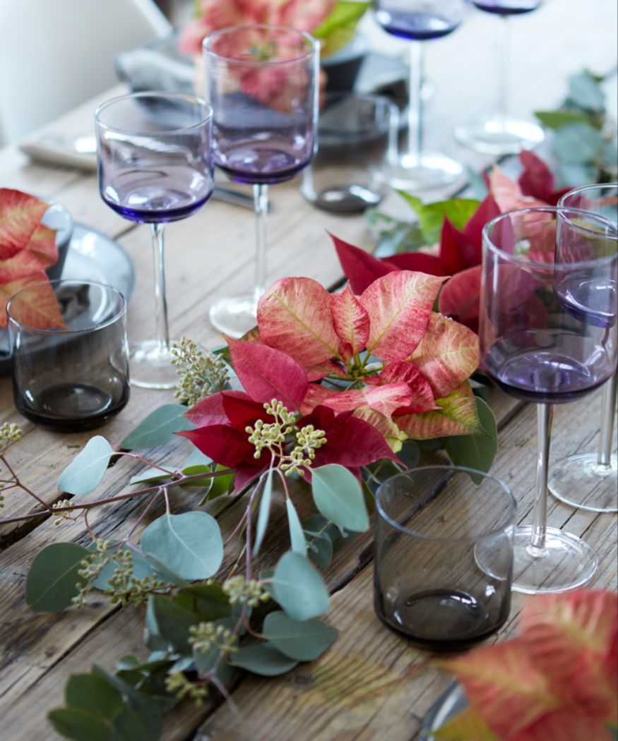 2018-poinsettia-01 Tischdekoration mit blushfarbenen Schnittweihnachtssternen und Eukalyptuszweigen im Green Living Trend