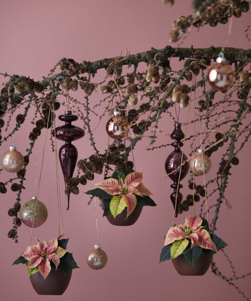 2019_poinsettia_02000_christmas_wonderland_06