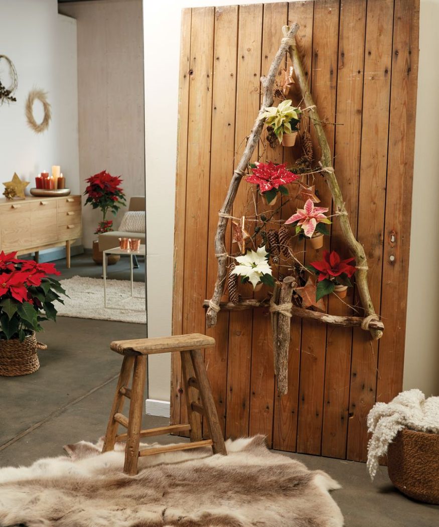 2020-poinsettia-02140-diy-wall-hanging-tree-branches-06 Un albero di Natale rustico fatto in casa con rami di legno, varie mini Poinsettie e decorazioni appese. Nella stanza sono presenti altre decorazioni festive e l'albero è appoggiato a un pannello di legno.