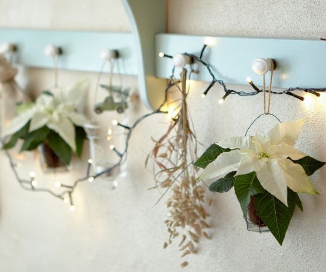 2020-poinsettia-04000-country-christmas-charm-15 A wall-hung decoration of white mini poinsettias and delicate Christmas ornaments. The fairy lights woven around the decoration bathe the room in a soft, warm glow. This minimalist and elegant design brings out the fragile beauty of the white poinsettias.