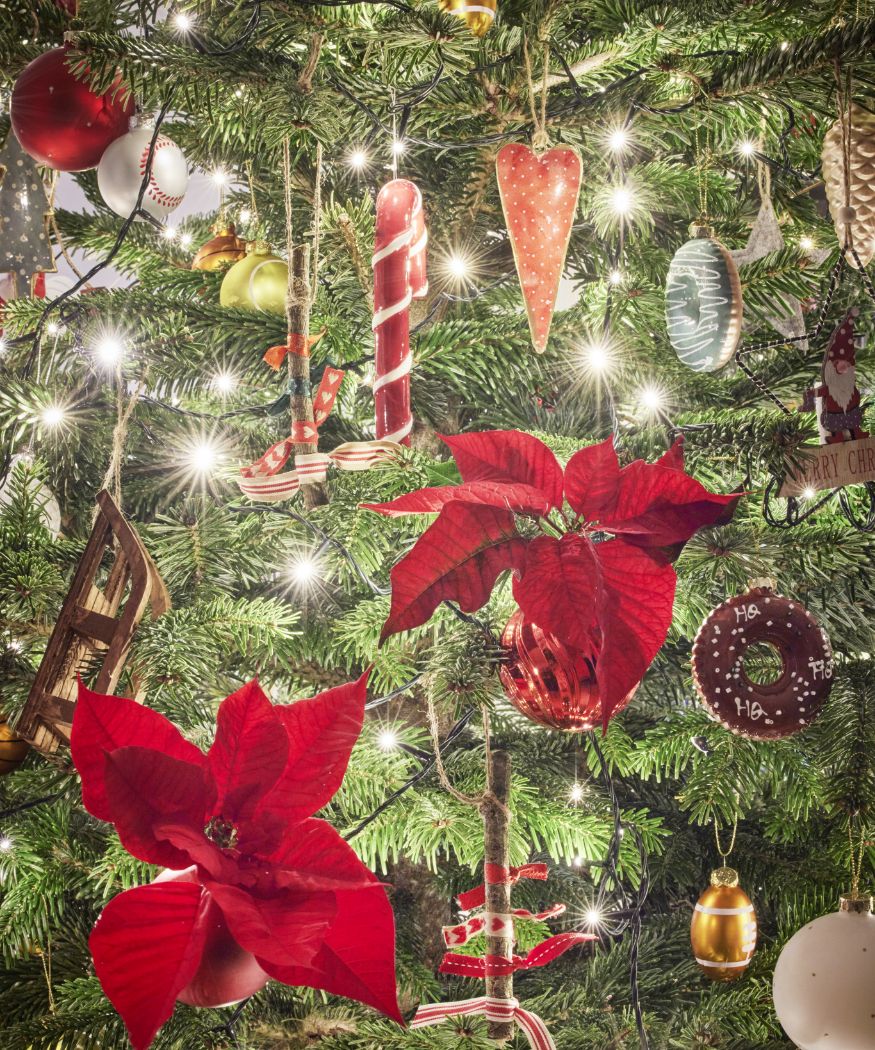 2023-poinsettia-03000-rustic-scandi-christmas-05 Primo piano di un albero di Natale appeso con decorazioni fatte in casa e Stelle di Natale rosse.
