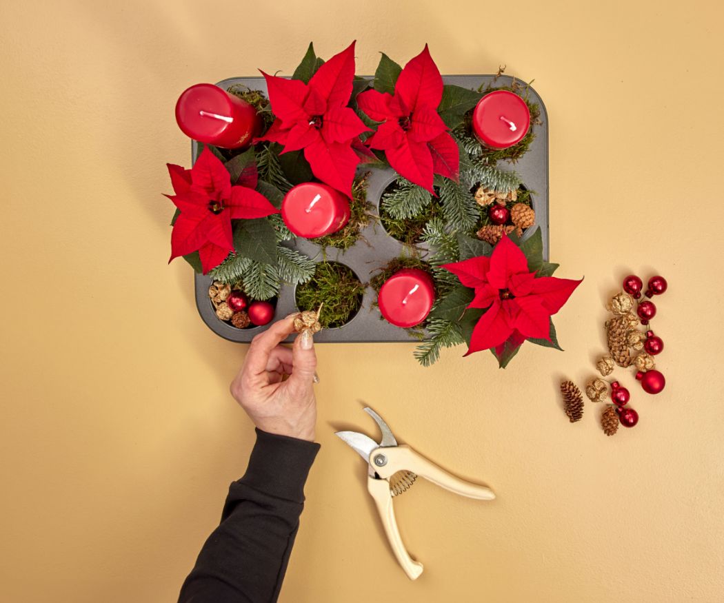 2024-poinsettia-04160-diy-advent-muffin-tin-centrepiece-06 Cones and red berries are arranged around candles and poinsettias in a muffin tin as festive decorations. These small details add a personal touch to this Advent display.