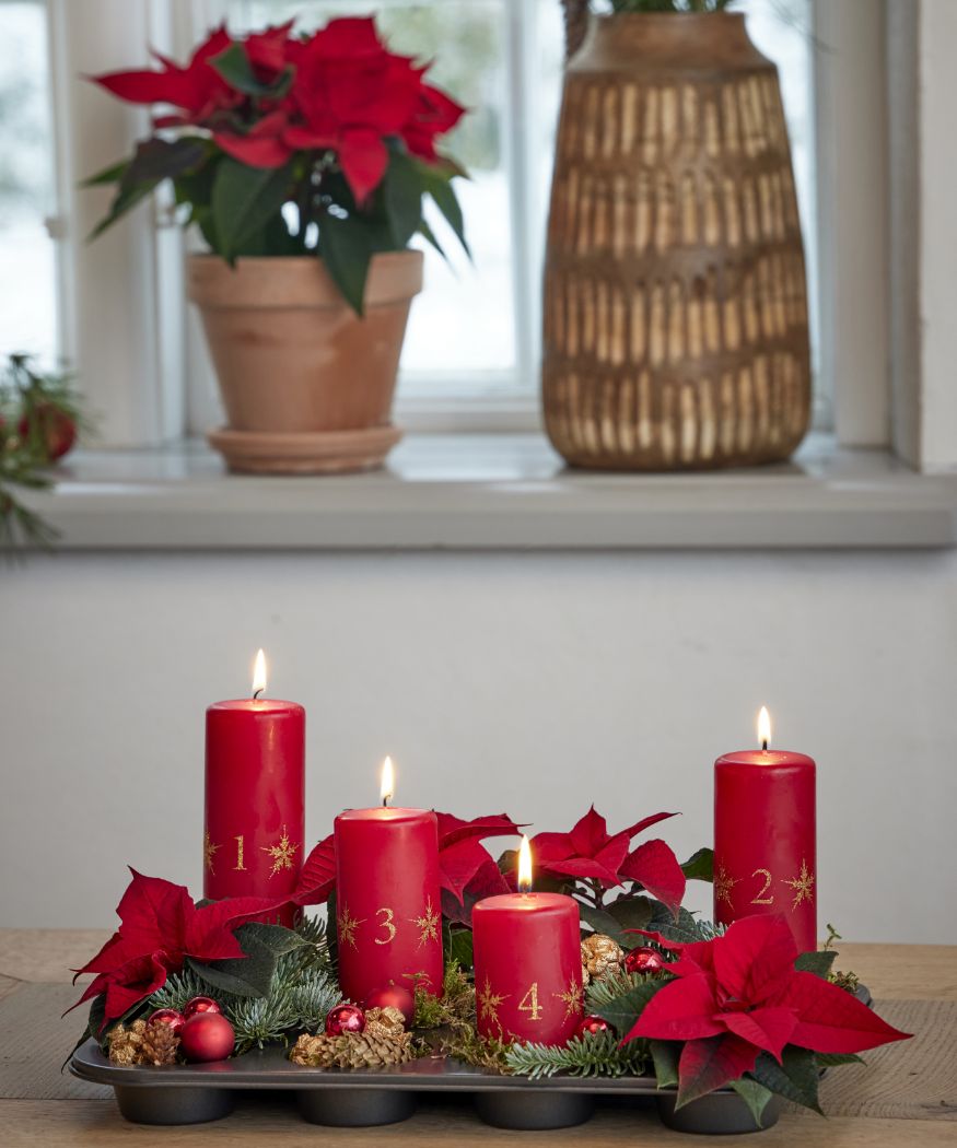 2024-poinsettia-04160-diy-advent-muffin-tin-centrepiece-09 Una composizione dell'Avvento appena terminata in una teglia per muffin con candele rosse, Stelle di Natale, muschio, rametti di pino e accenti decorativi.