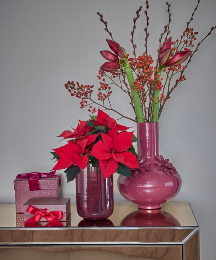 Decorazioni natalizie moderne in rosso, rosa e malva con Stella di Natale e composizione floreale 