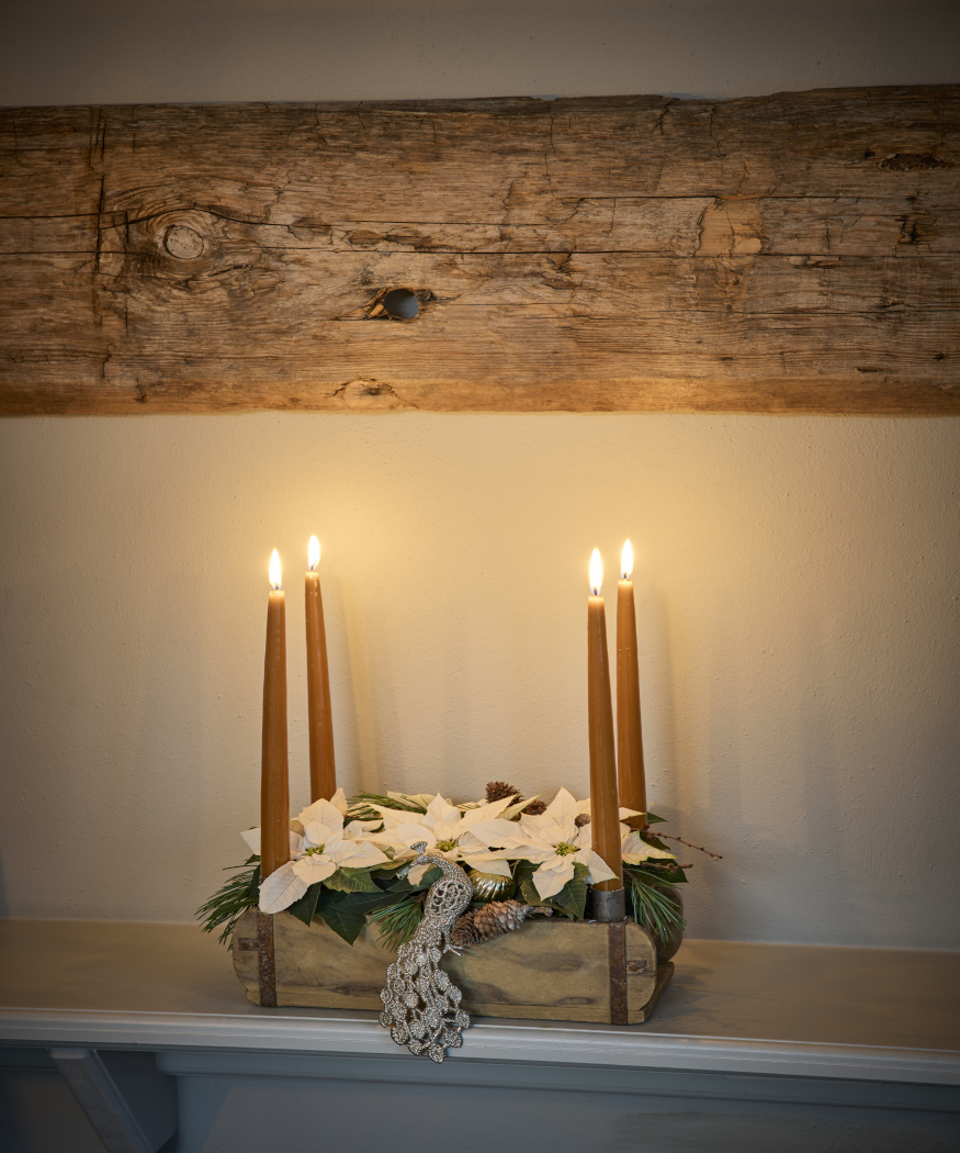 De magie van sterren met Kerstmis. Advents- en kerstboomdecoraties met kerststerren