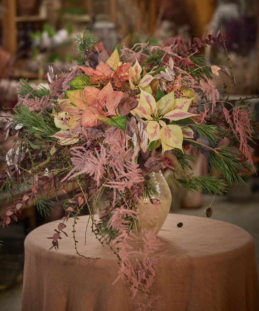 2023-poinsettia-02000-cottagecore-charm-15