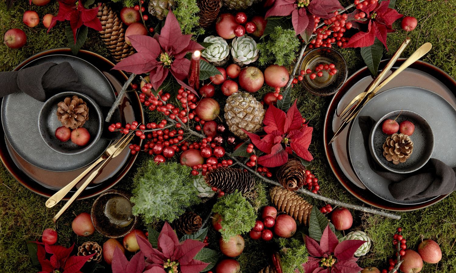 Weihnachtssterne als Schnittblume zur Winterdekoration